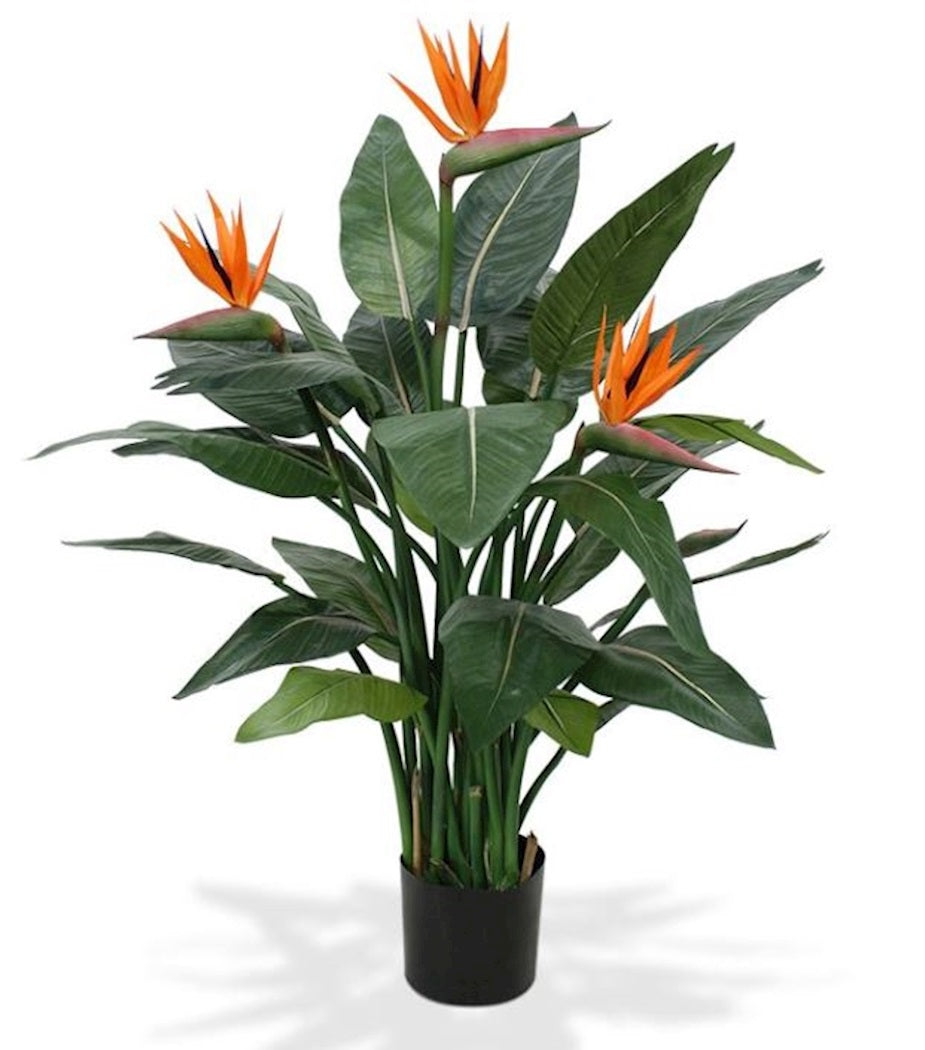 Kunstplant Strelitzia Default Title