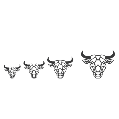 Wanddecoratie Stier