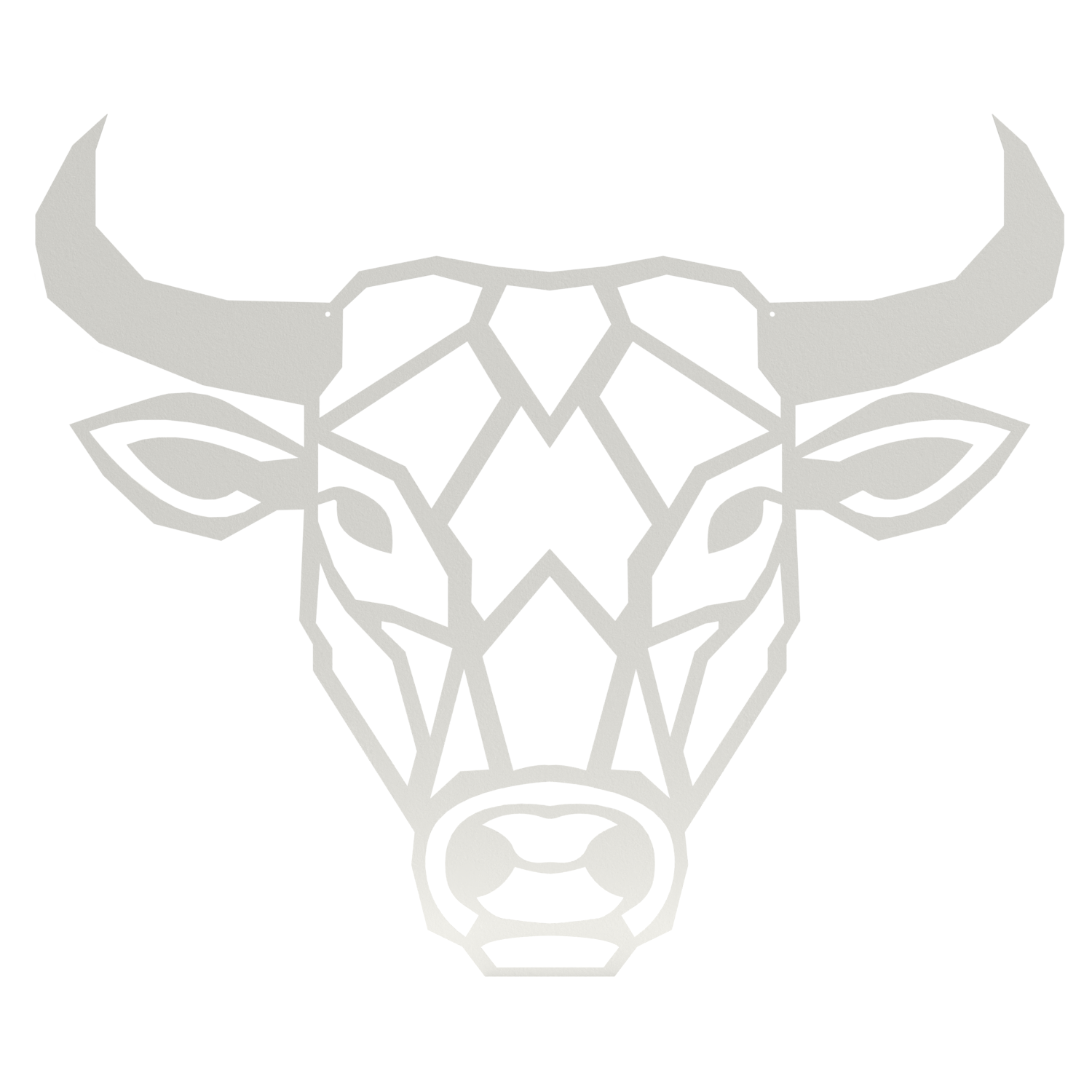 Wanddecoratie Stier
