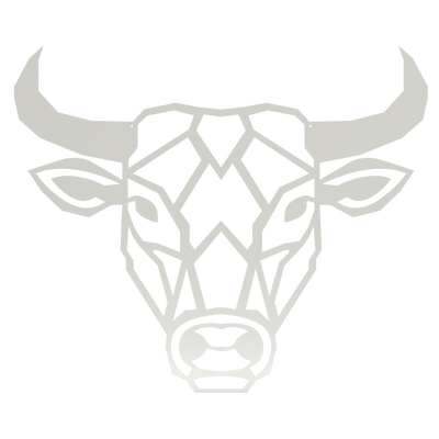 Wanddecoratie Stier