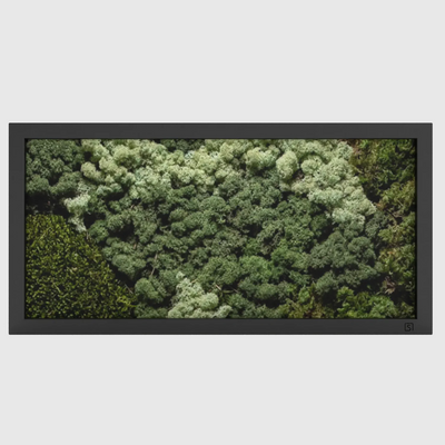 Mos schilderij landscape zwart
