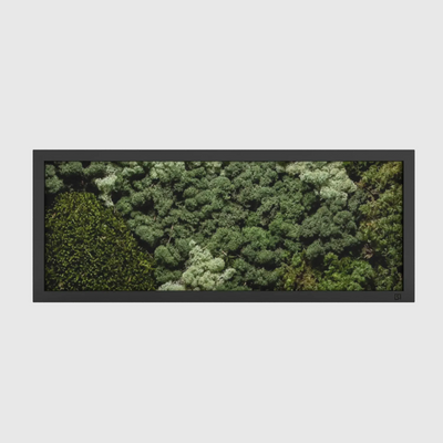 Mos schilderij landscape zwart