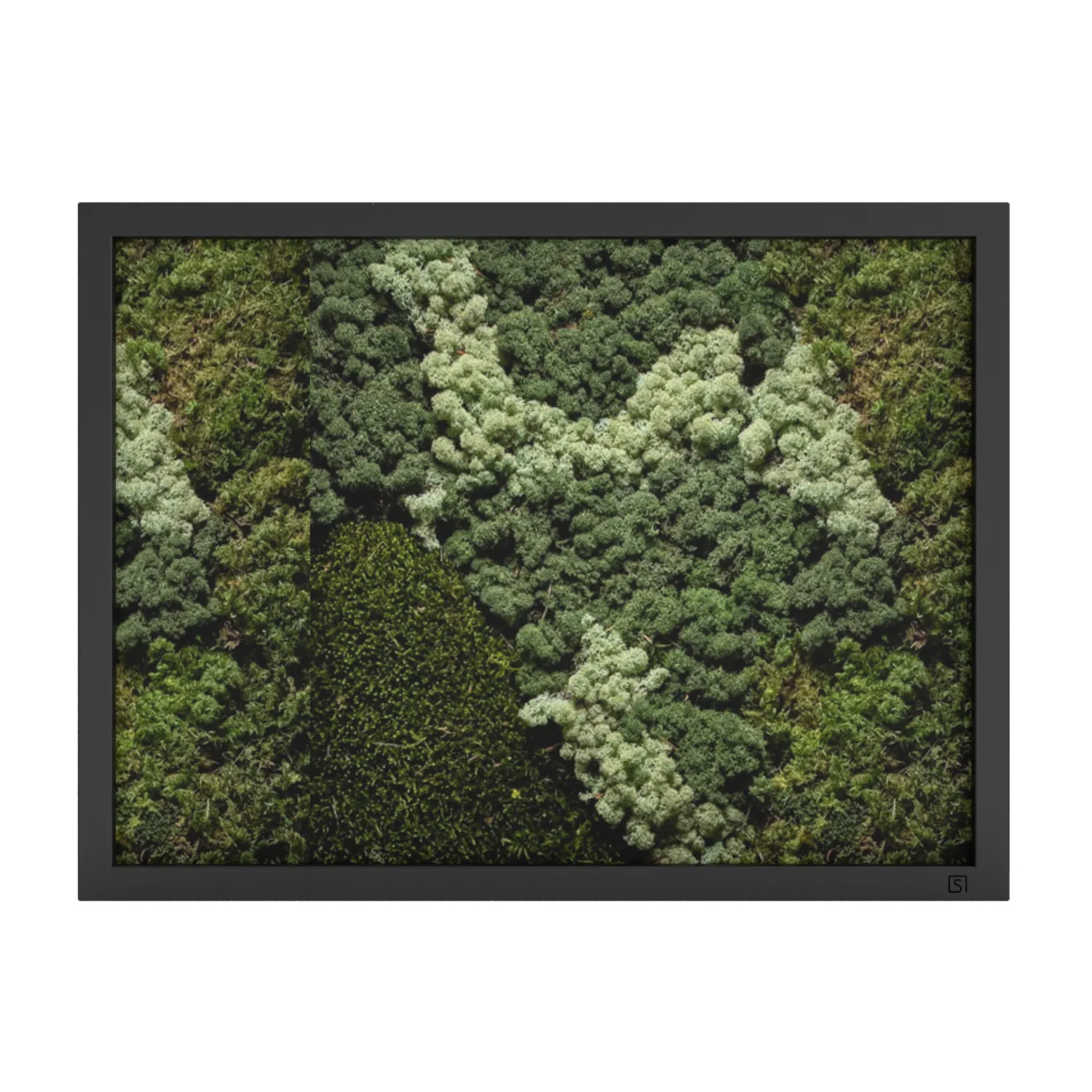 Mos schilderij landscape zwart