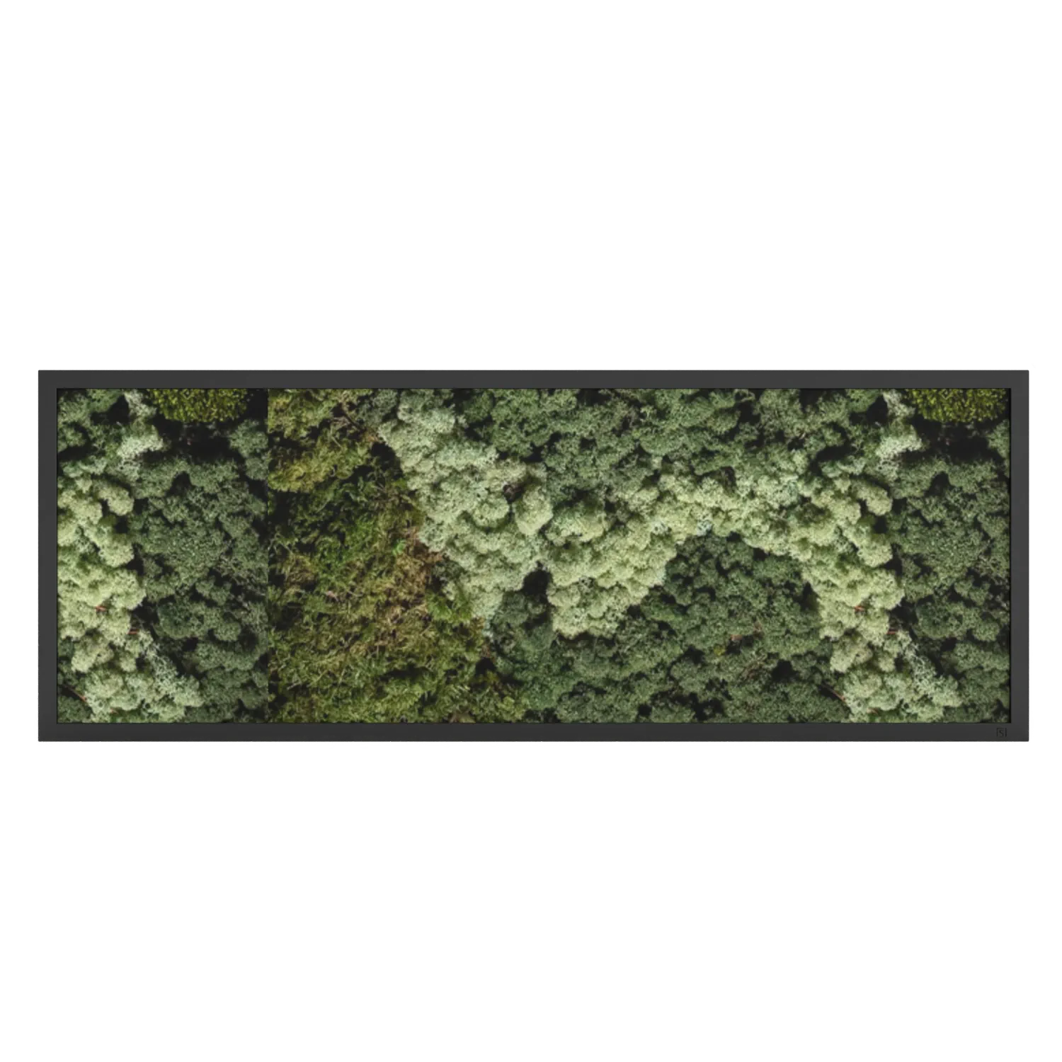 Mos schilderij landscape zwart