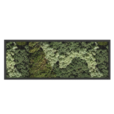 Mos schilderij landscape zwart