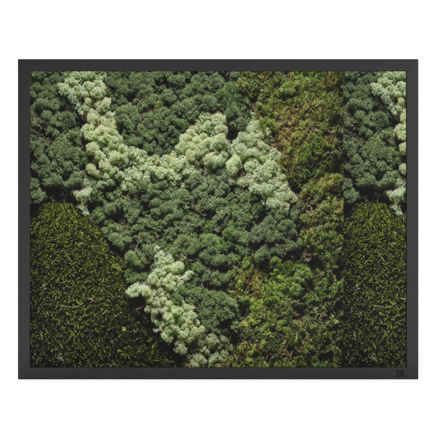 Mos schilderij landscape zwart