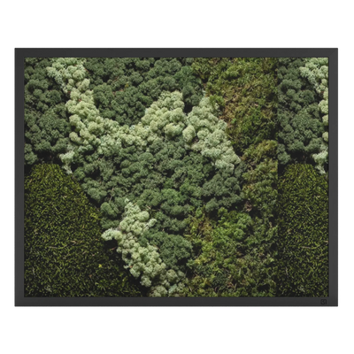 Mos schilderij landscape zwart