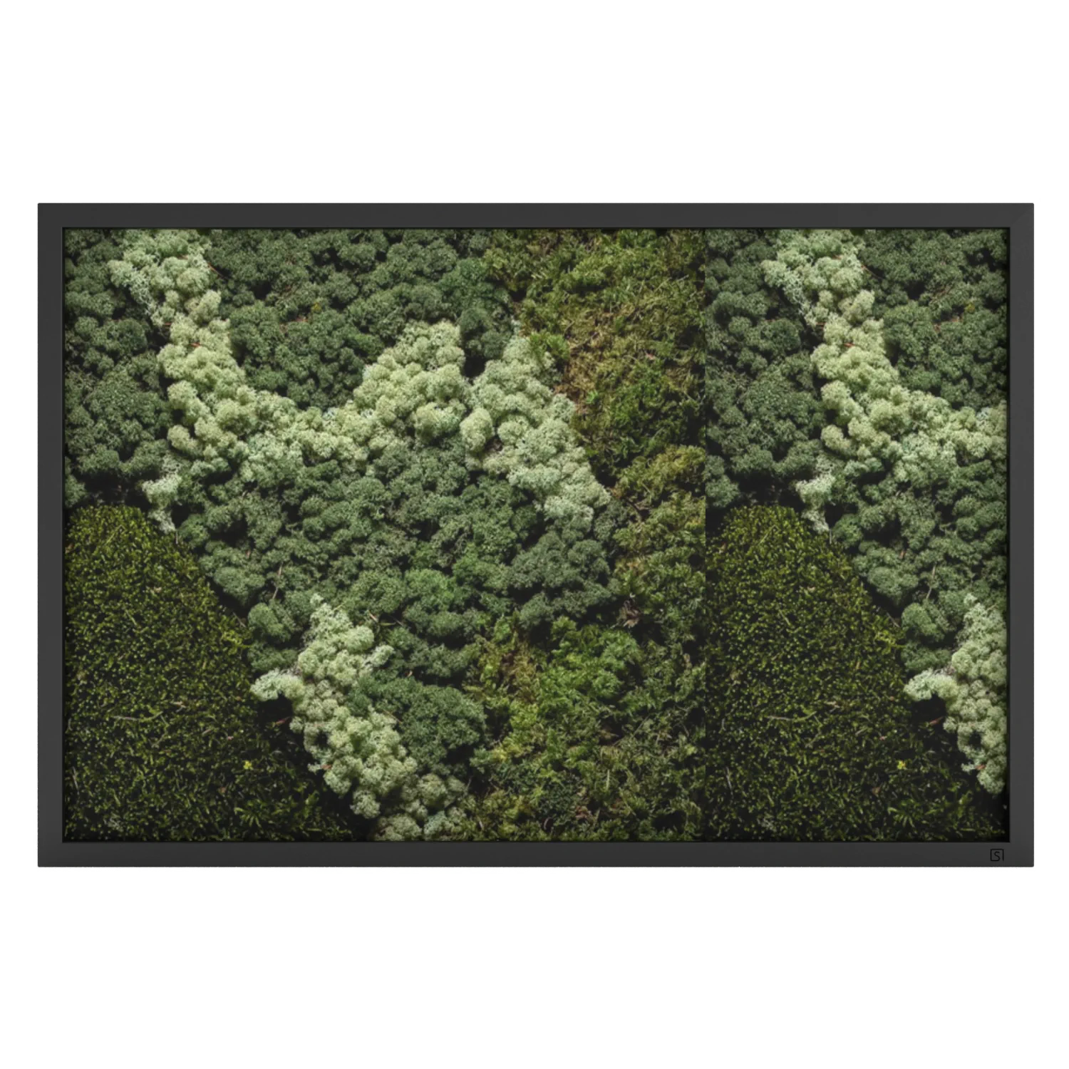Mos schilderij landscape zwart