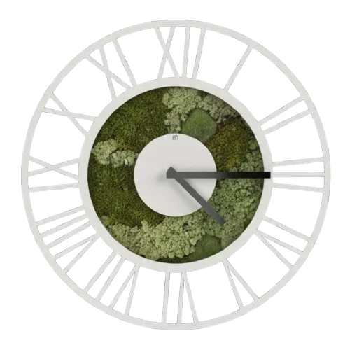 Mos Horloge Biesbos