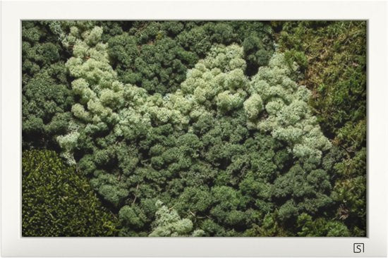 Mos wanddecoratie landscape wit