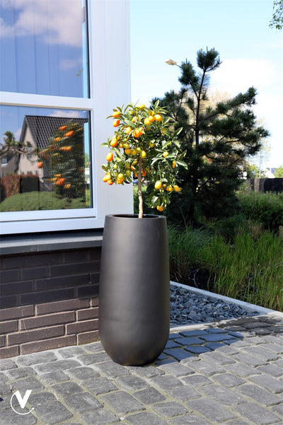 Pot Idaho black Ø35 x H70 cm - Verwachte binnenkomst nog niet bekend (Black Ø35 x H70 cm)