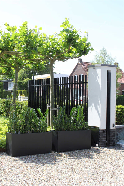 Pot Indiana black 100 x B40 x H50cm (Black L100 x B40 x H50cm)