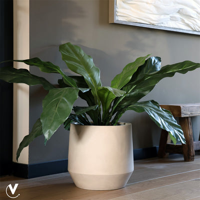 Pot Krabi matte sand Ø41 x H38 cm - Verwachte binnenkomst nog niet bekend  (Matte Sand Ø41 x H38 cm)