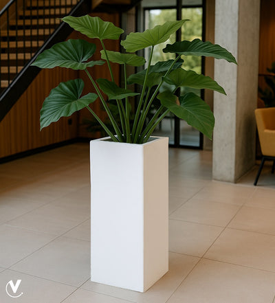 Pot Pearl L shiny white L35 x B35 x H100 cm (Shiny white L35 x B35 x H100 cm)