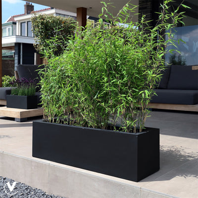 Pot Amazone Zwart