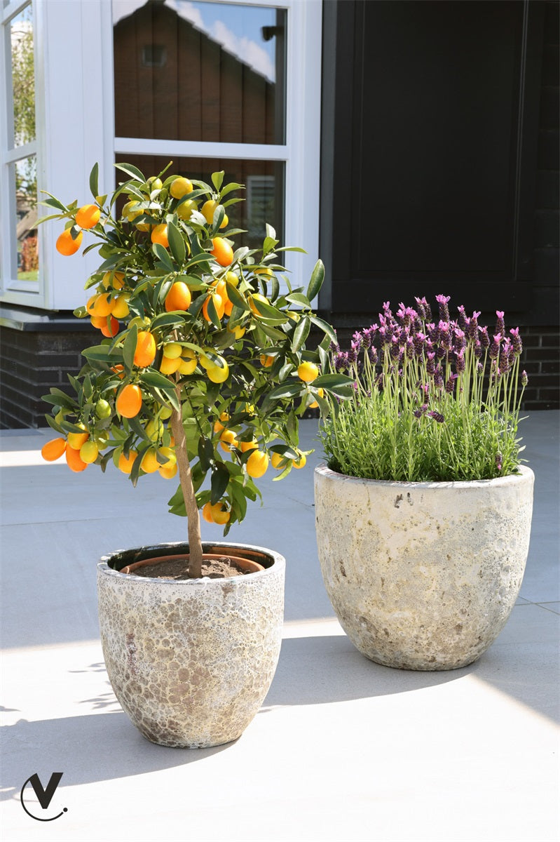Pot Laki - 2 stuks Relic beige