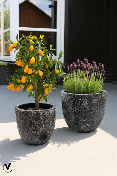 Pot Laki - 2 stuks Relic zwart