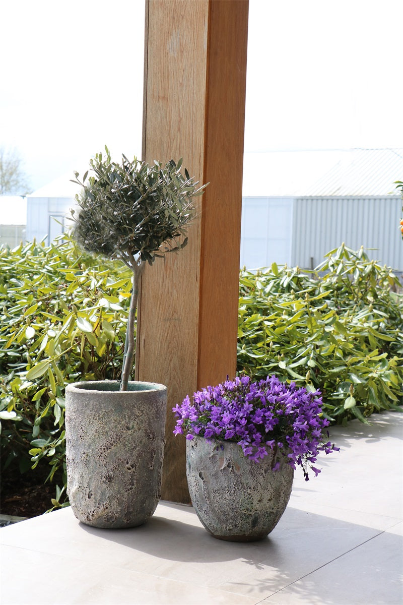 Pot Fuji - 2 stuks Oceanic coral