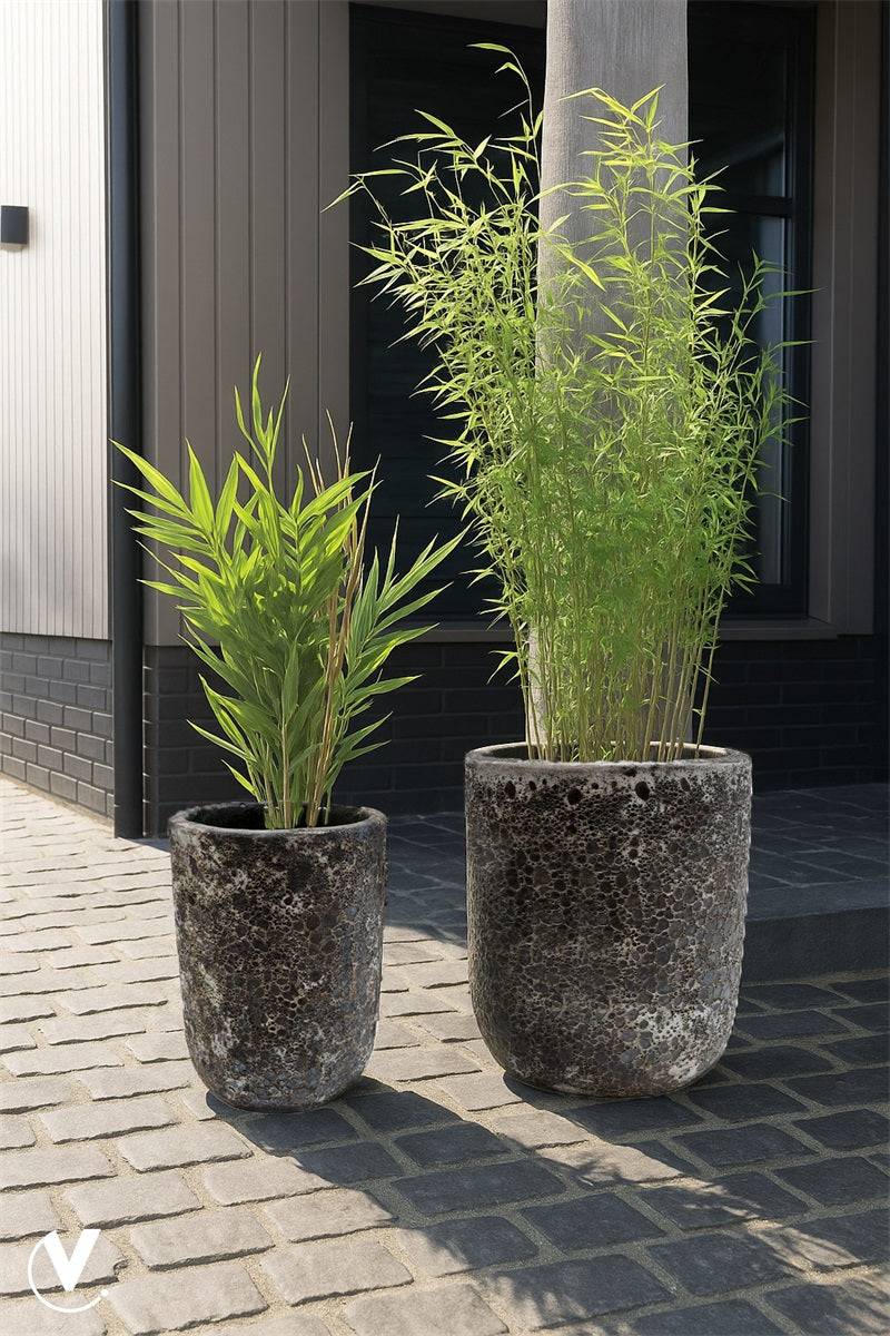 Pot Fuji - 2 stuks Relic zwart