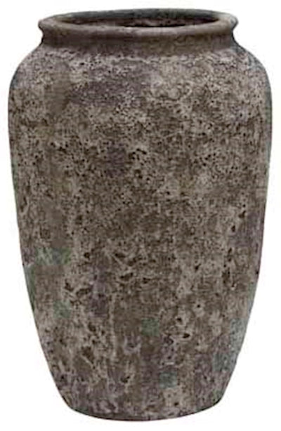 Pot Ambang Oceanic coral