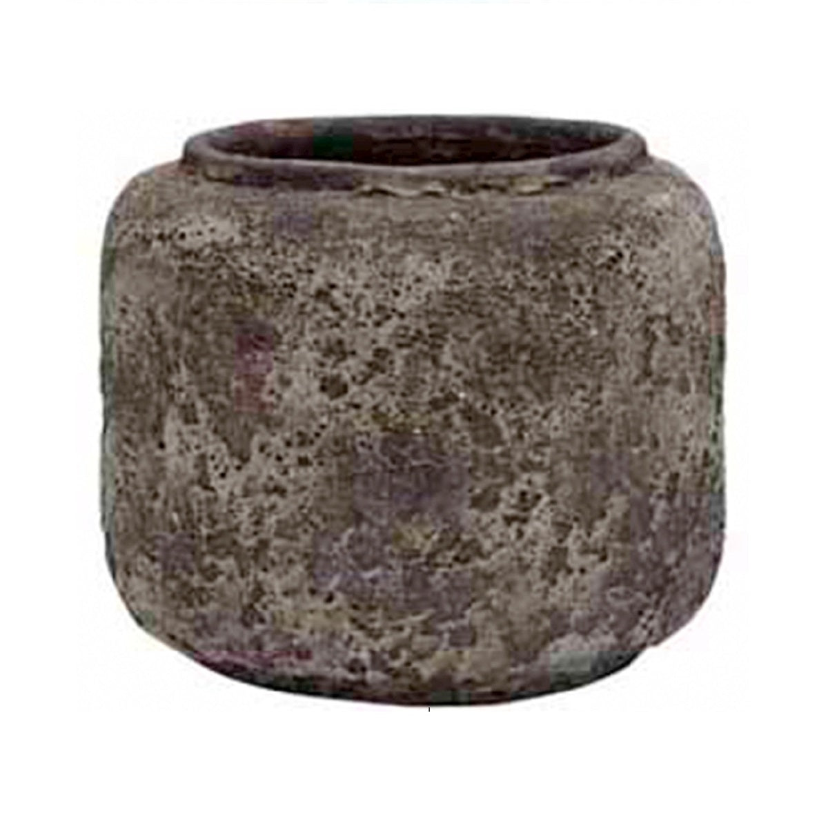 Pot Arenal Oceanic coral