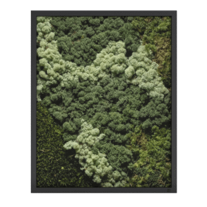 Mos schilderij portret zwart