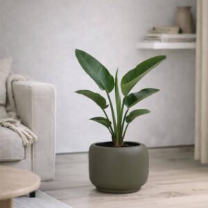 sfeerfoto pot phuket